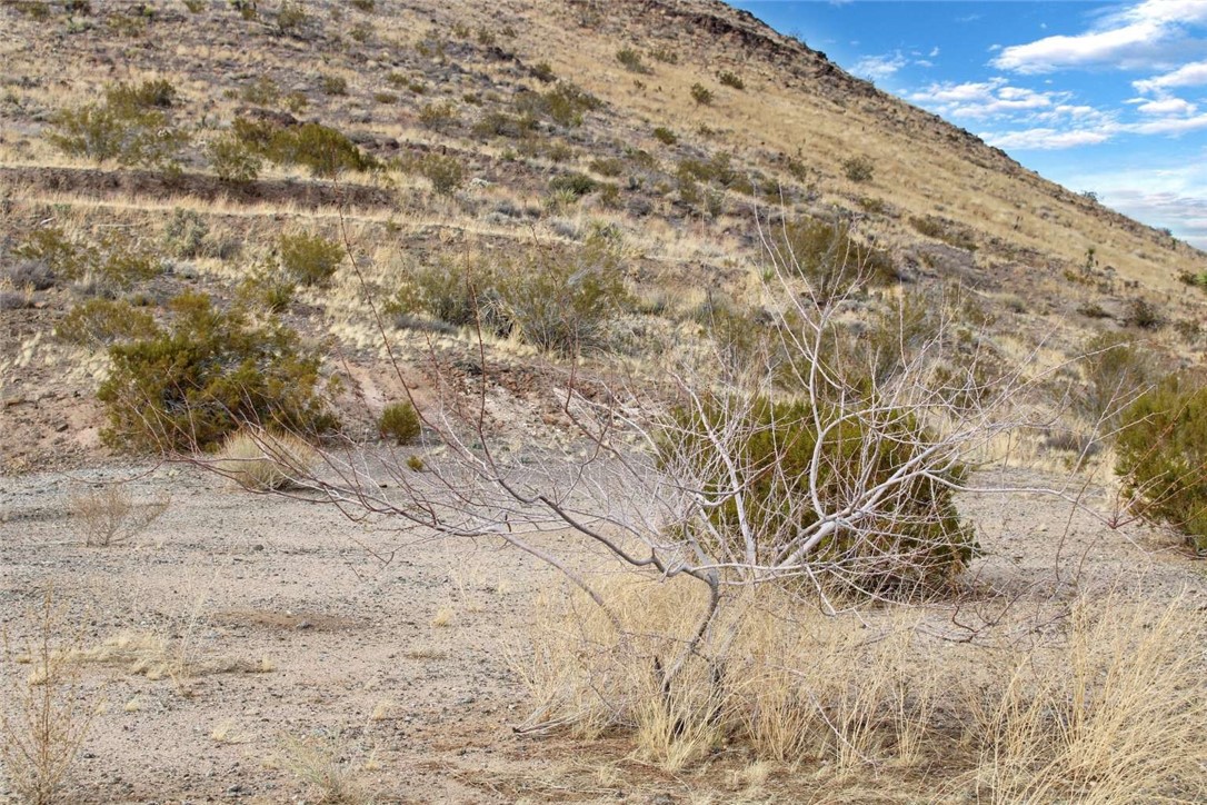 MLS #FR24175327 image #8