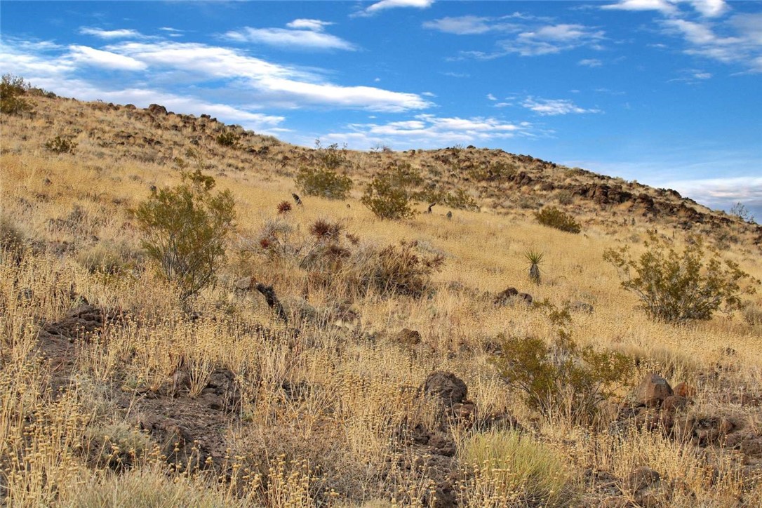 MLS #FR24175327 image #9