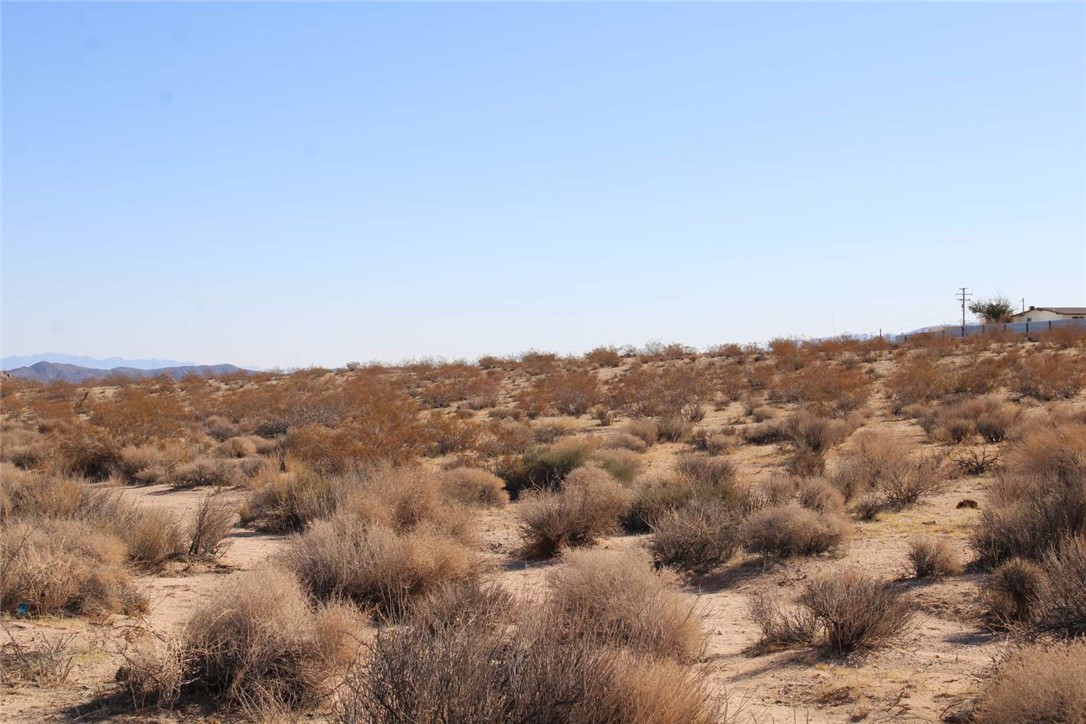 MLS #FR25116929 image #19