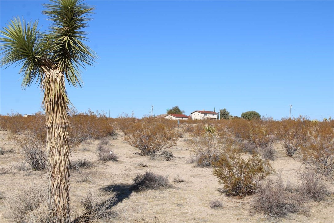 MLS #FR25116929 image #8