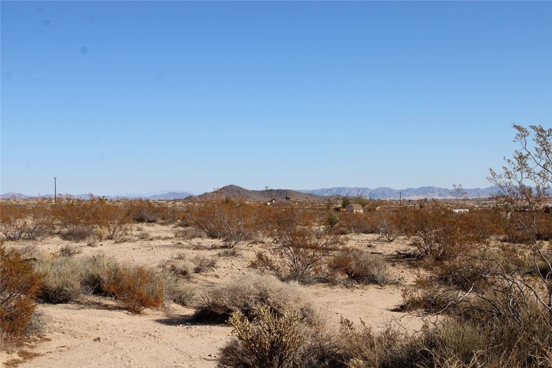 MLS #FR25116929 image #9