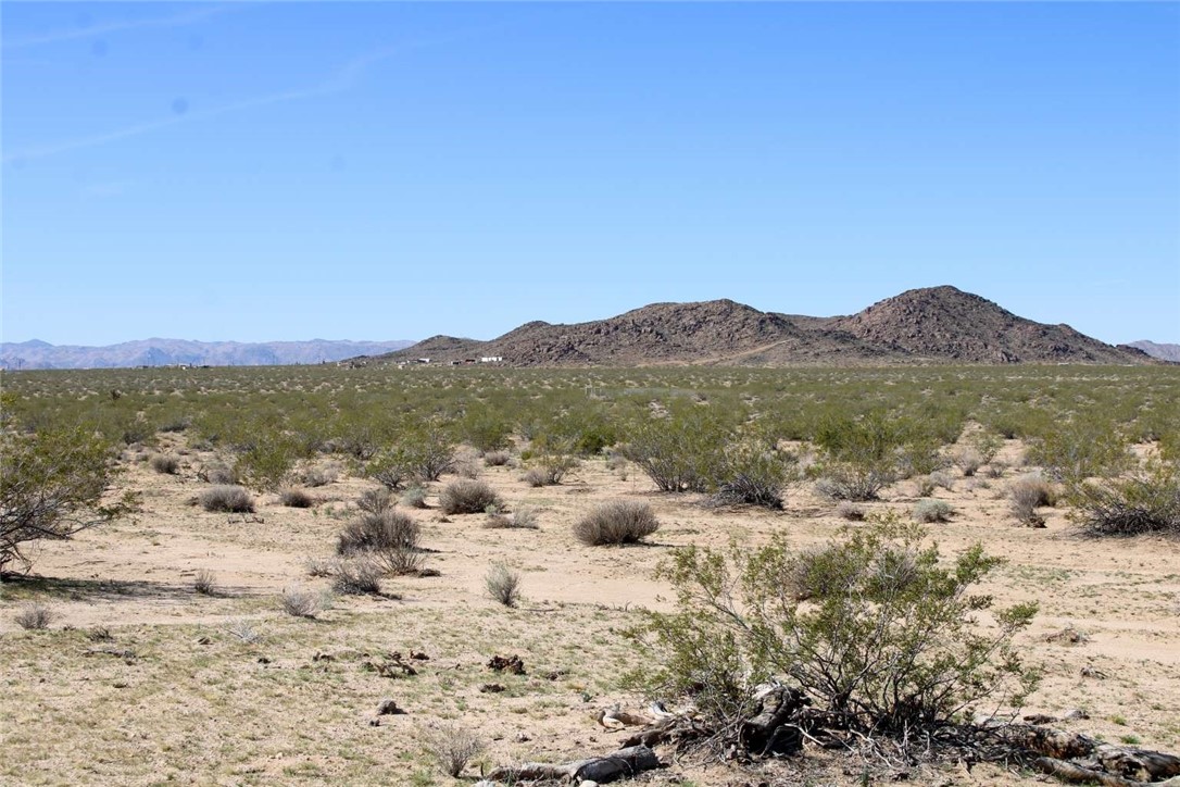 MLS #FR25215188 image #5