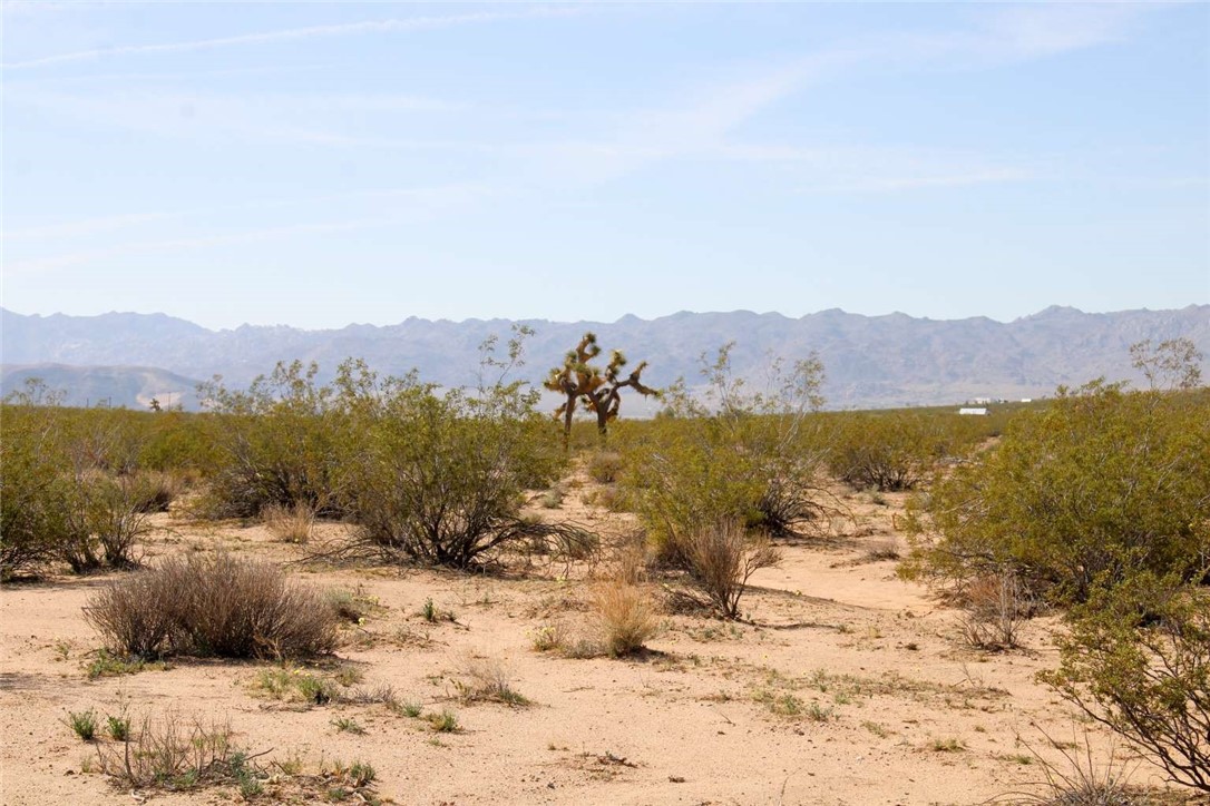 MLS #FR25215188 image #6