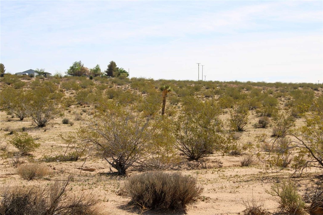 MLS #FR25215188 image #7