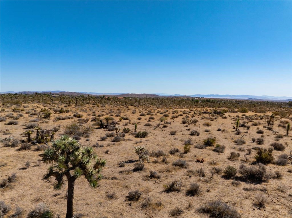 MLS #FR25222631 image #4