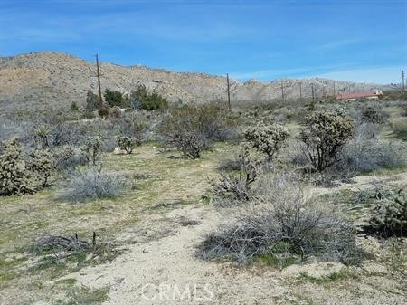 MLS #GD25217166 image #6