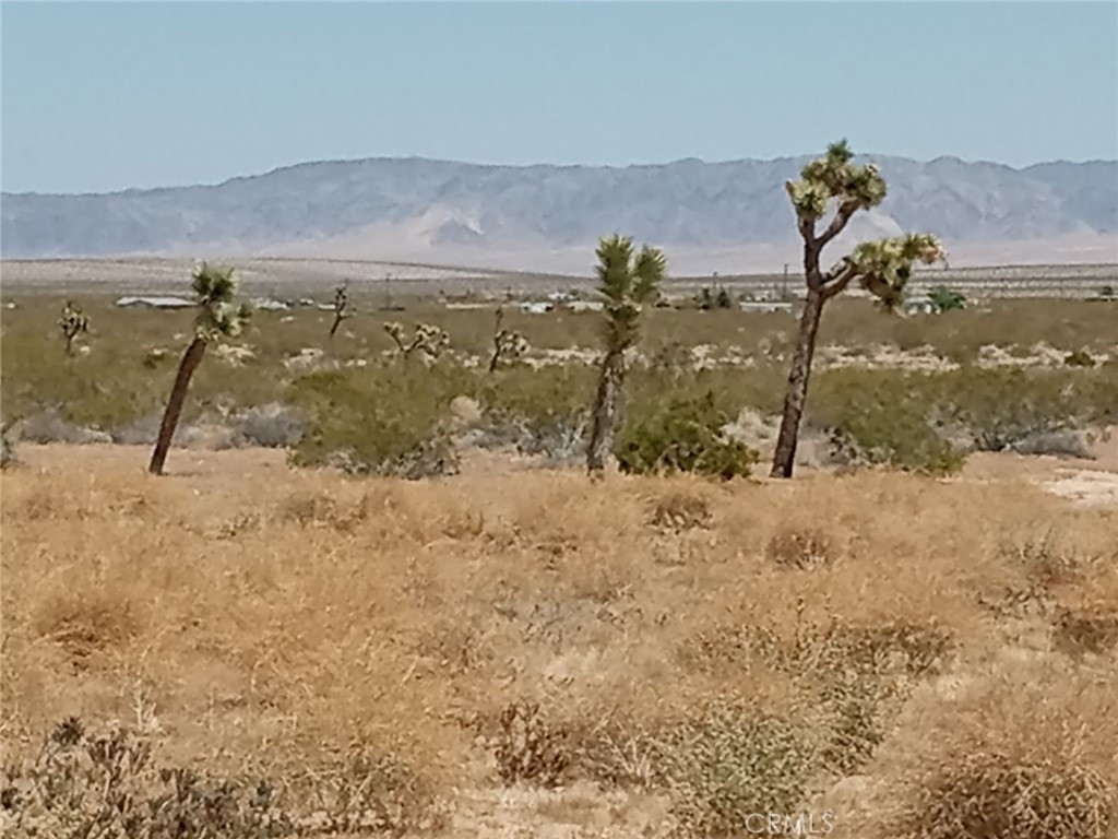 MLS #HD24076715 image #2