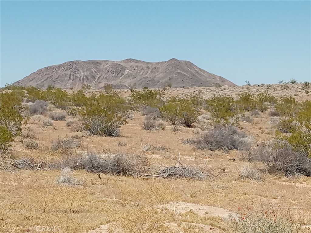 MLS #HD24076715 image #3