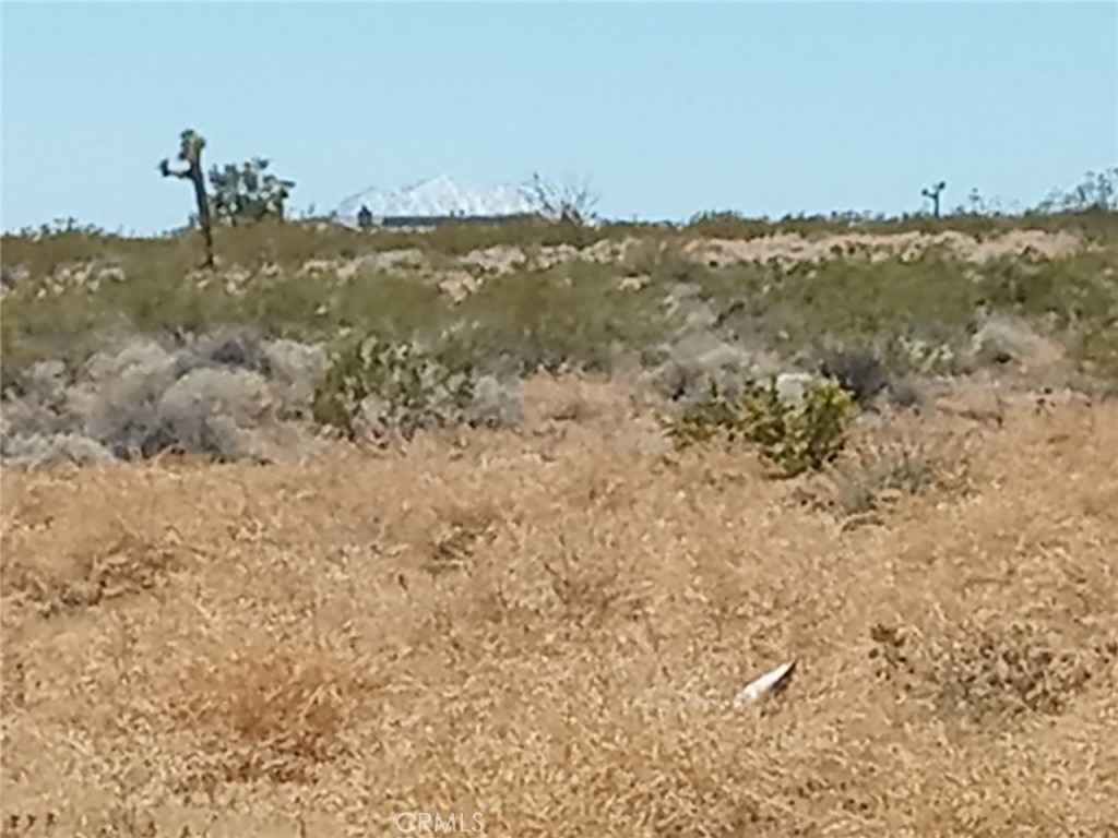 MLS #HD24076715 image #4