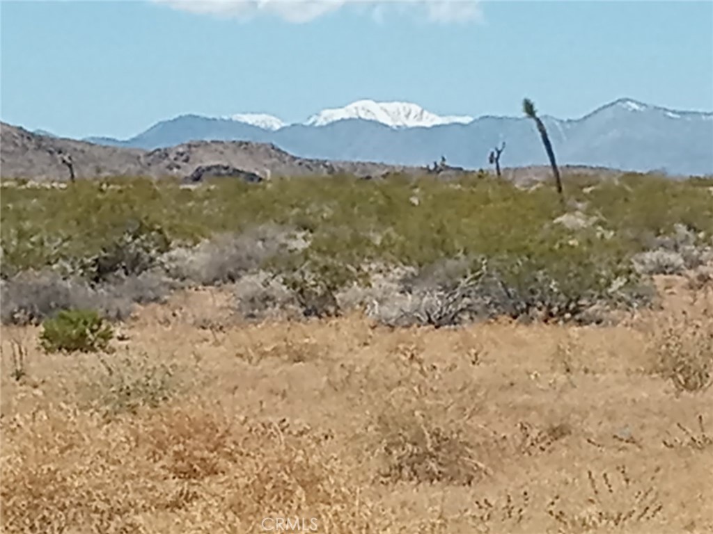 MLS #HD24076715 image #5