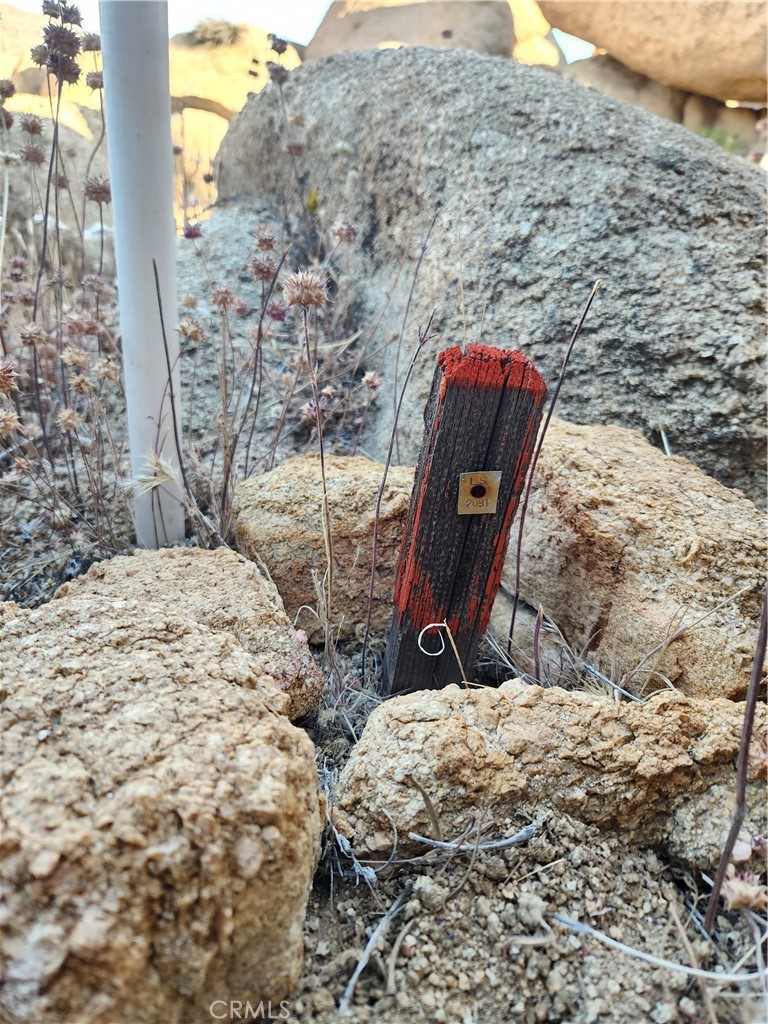 MLS #HD24131813 image #9