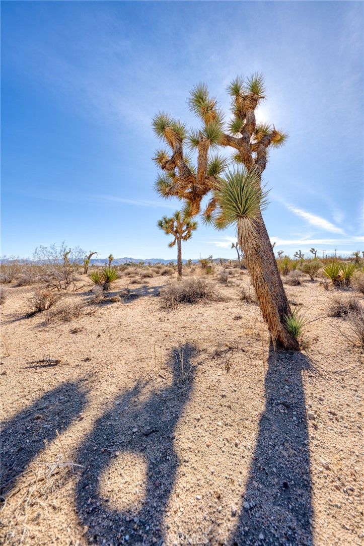 MLS #HD24198411 image #16