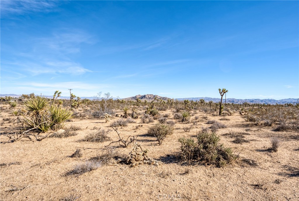 MLS #HD24198411 image #19