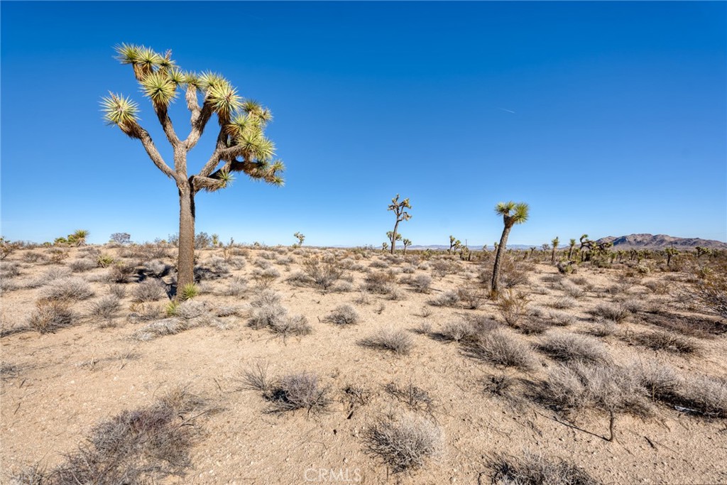 MLS #HD24198411 image #21