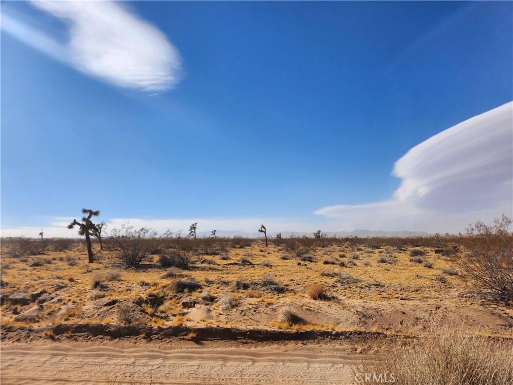 MLS #HD25020121 image #4