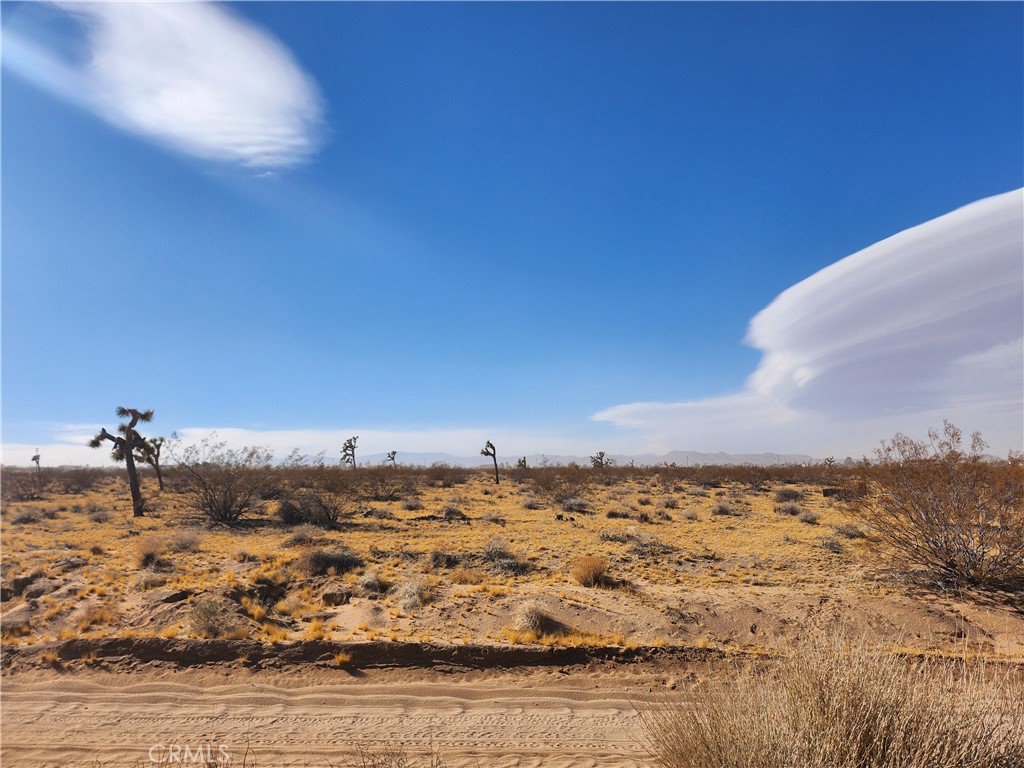 MLS #HD25020121 image #5