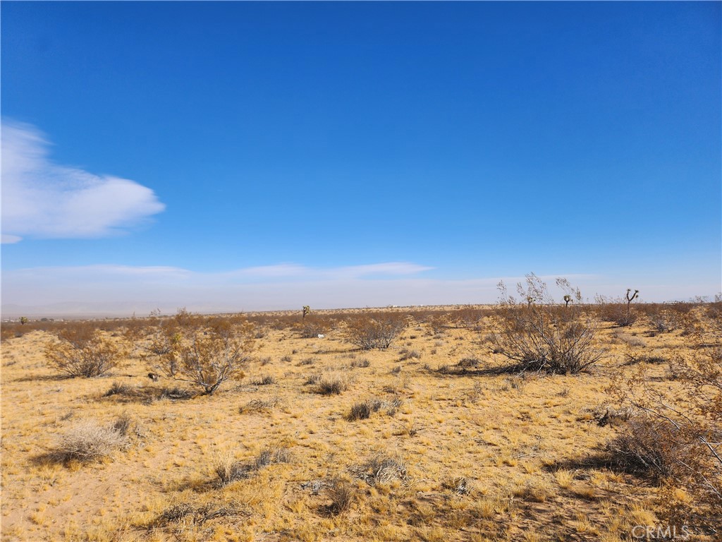 MLS #HD25020121 image #6