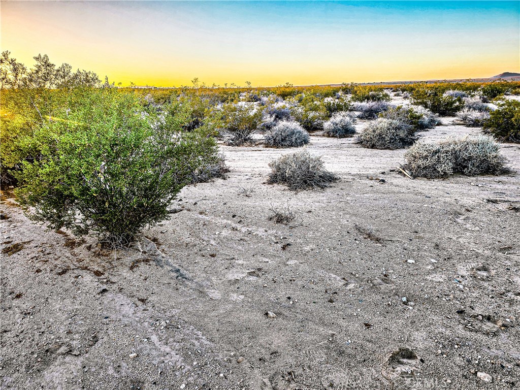 MLS #HD24113431 image #4