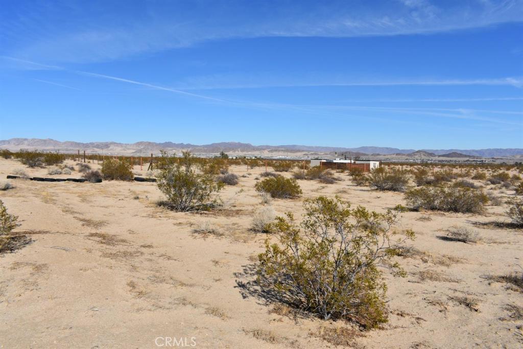 MLS #HD25051639 image #5