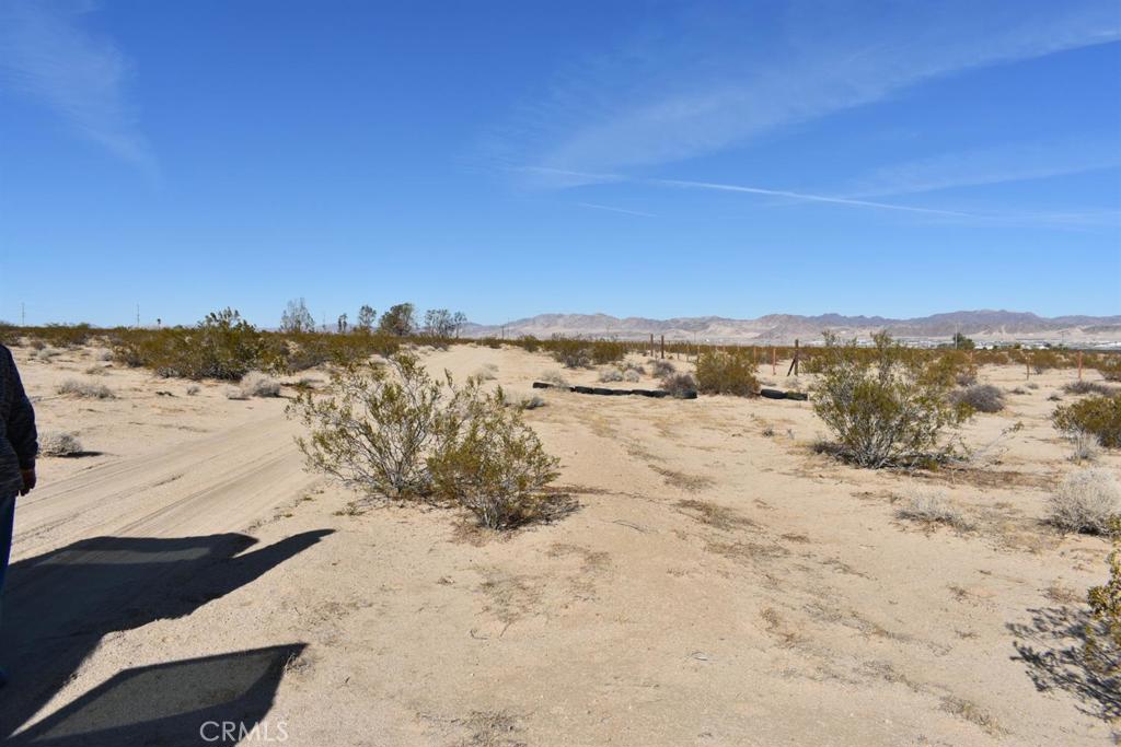 MLS #HD25051639 image #6