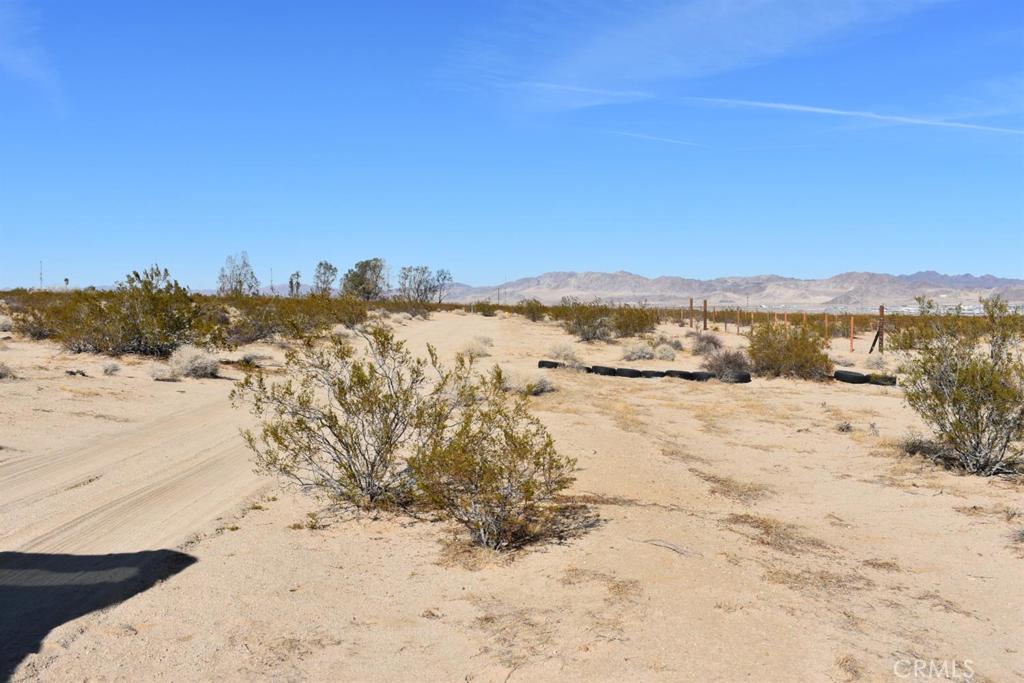 MLS #HD25051639 image #7