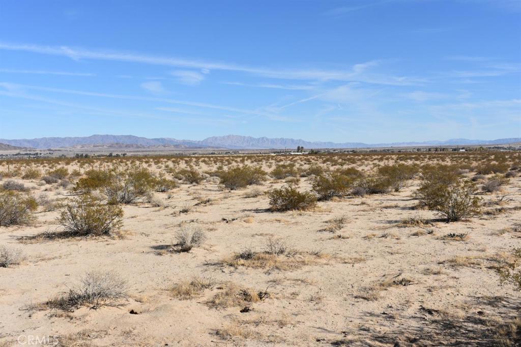 MLS #HD25051639 image #8