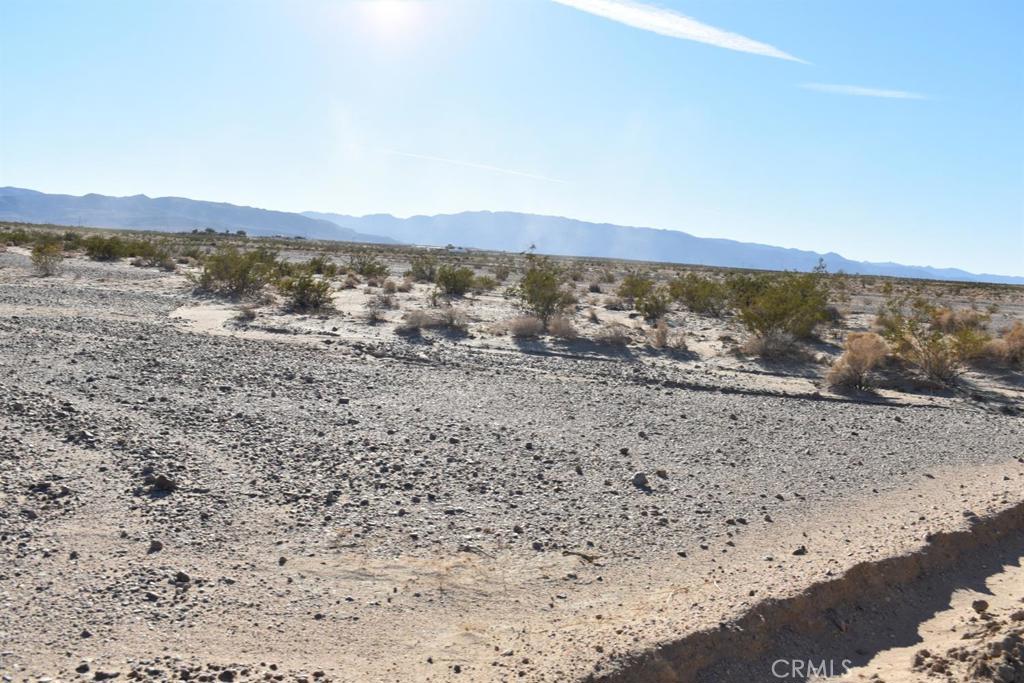 MLS #HD25051652 image #10