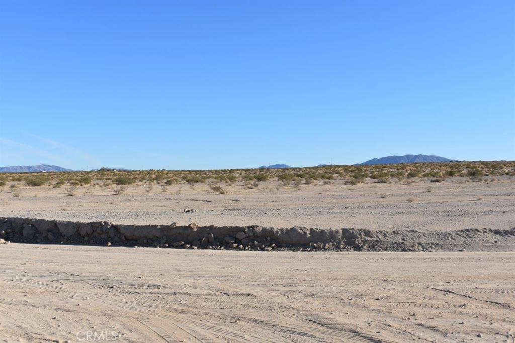 MLS #HD25051652 image #4