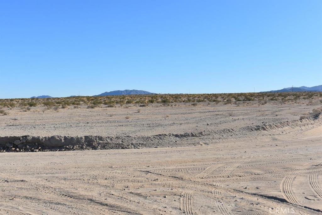 MLS #HD25051652 image #5