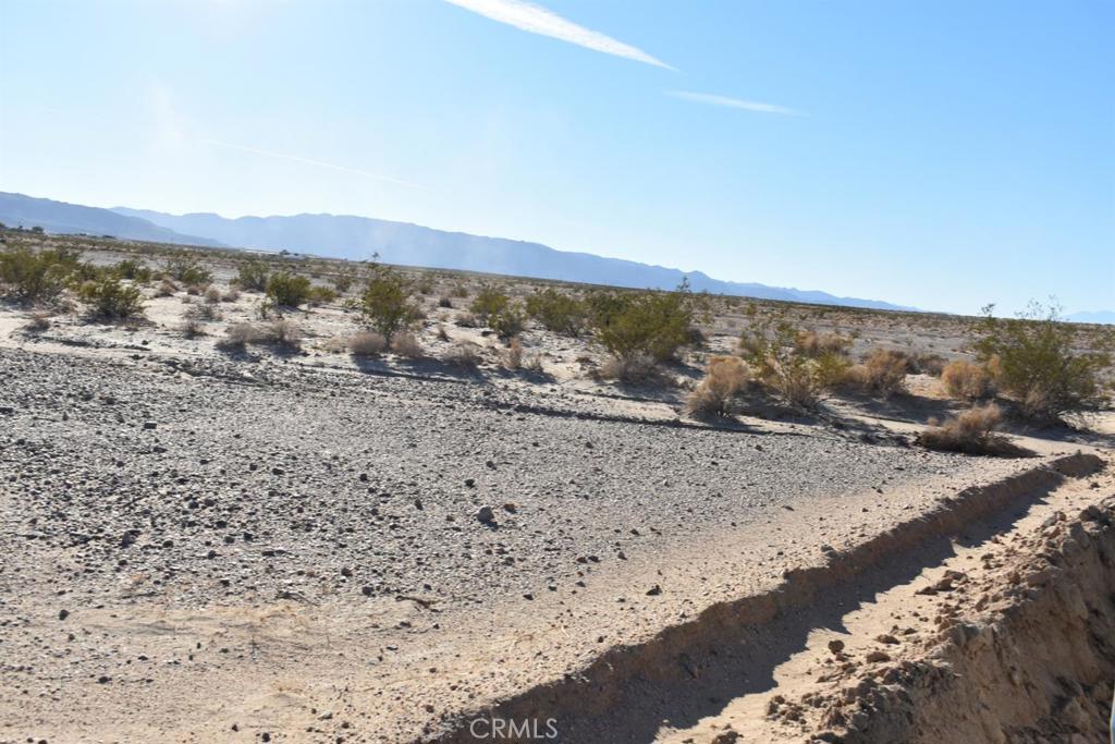 MLS #HD25051652 image #9