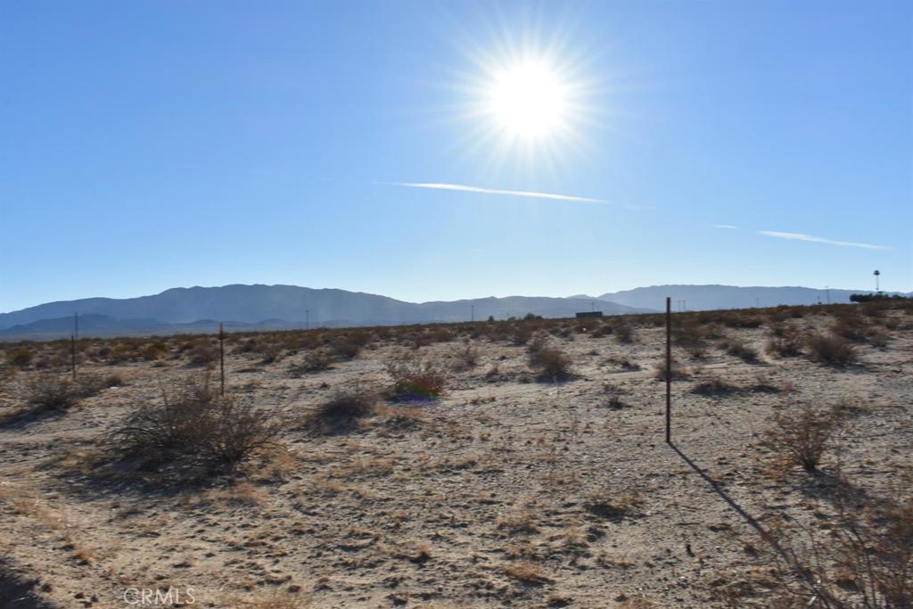 MLS #HD25051657 image #3