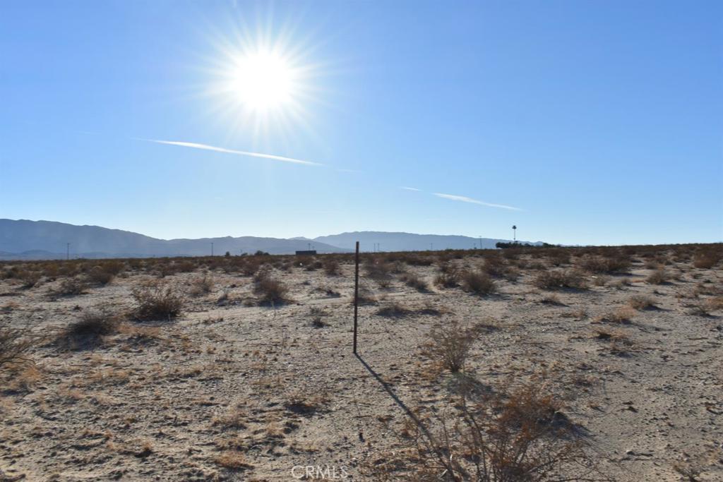 MLS #HD25051657 image #4