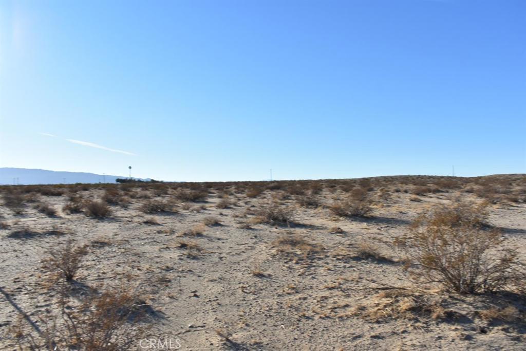 MLS #HD25051657 image #6