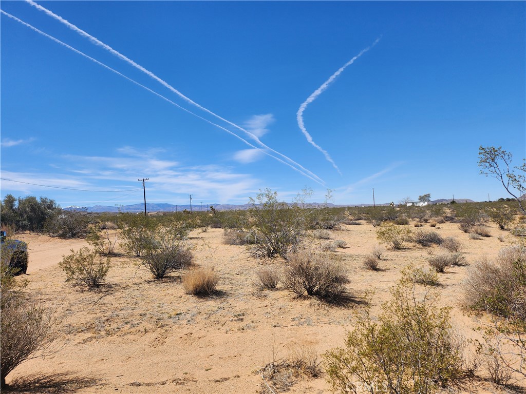 MLS #HD25065633 image #4