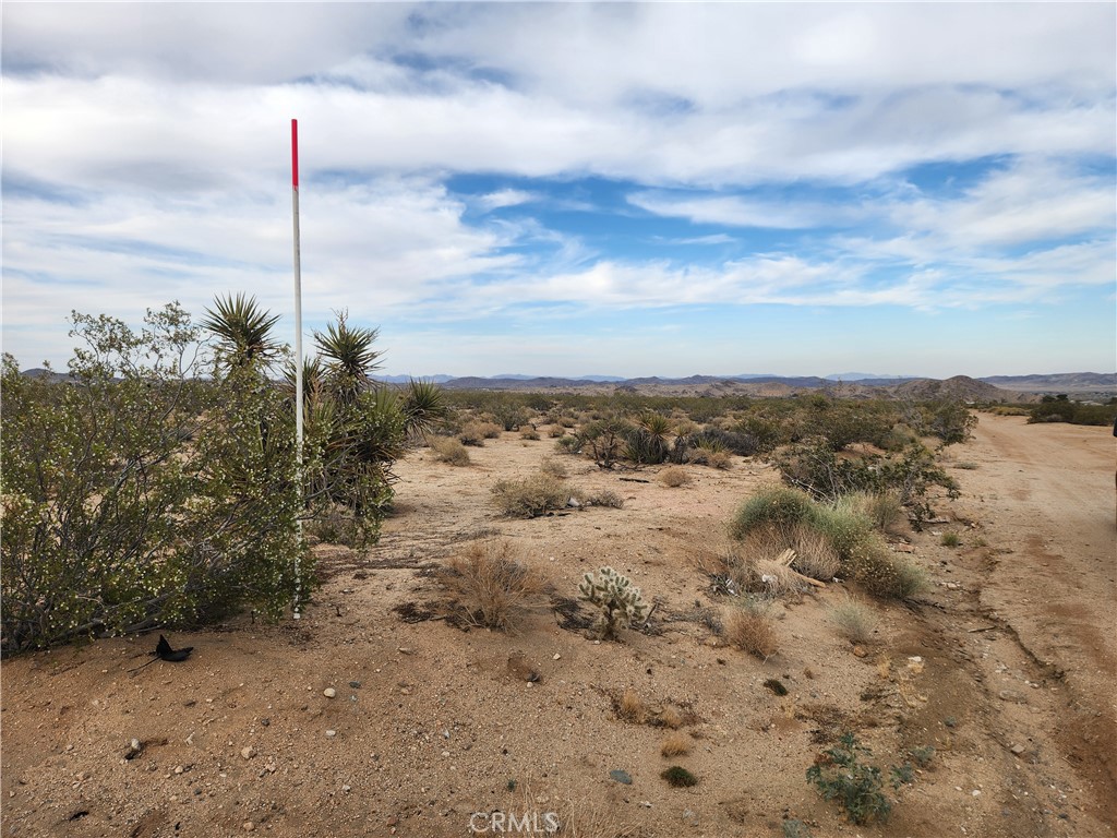 MLS #HD25102116 image #10