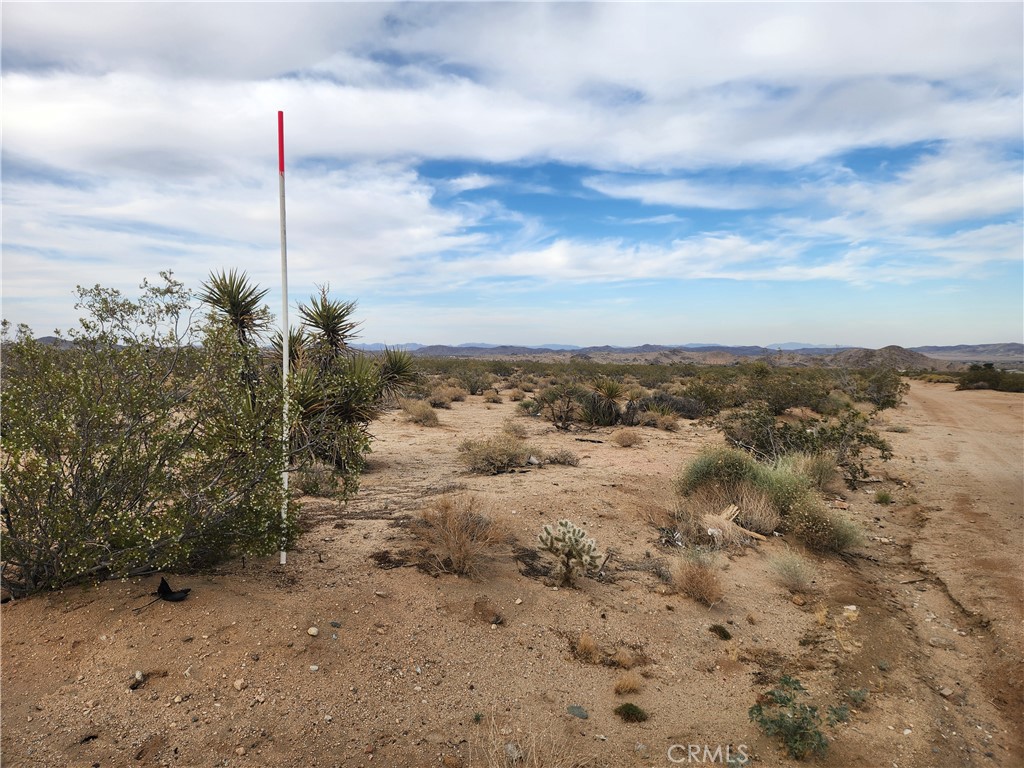 MLS #HD25102116 image #11