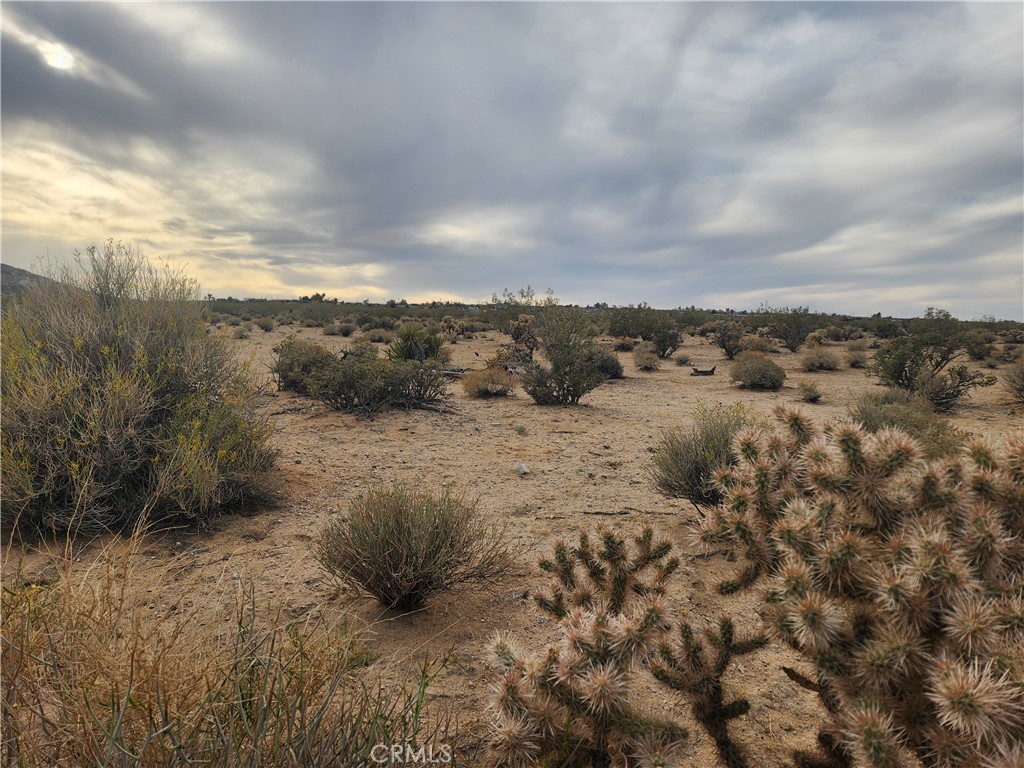 MLS #HD25102116 image #12