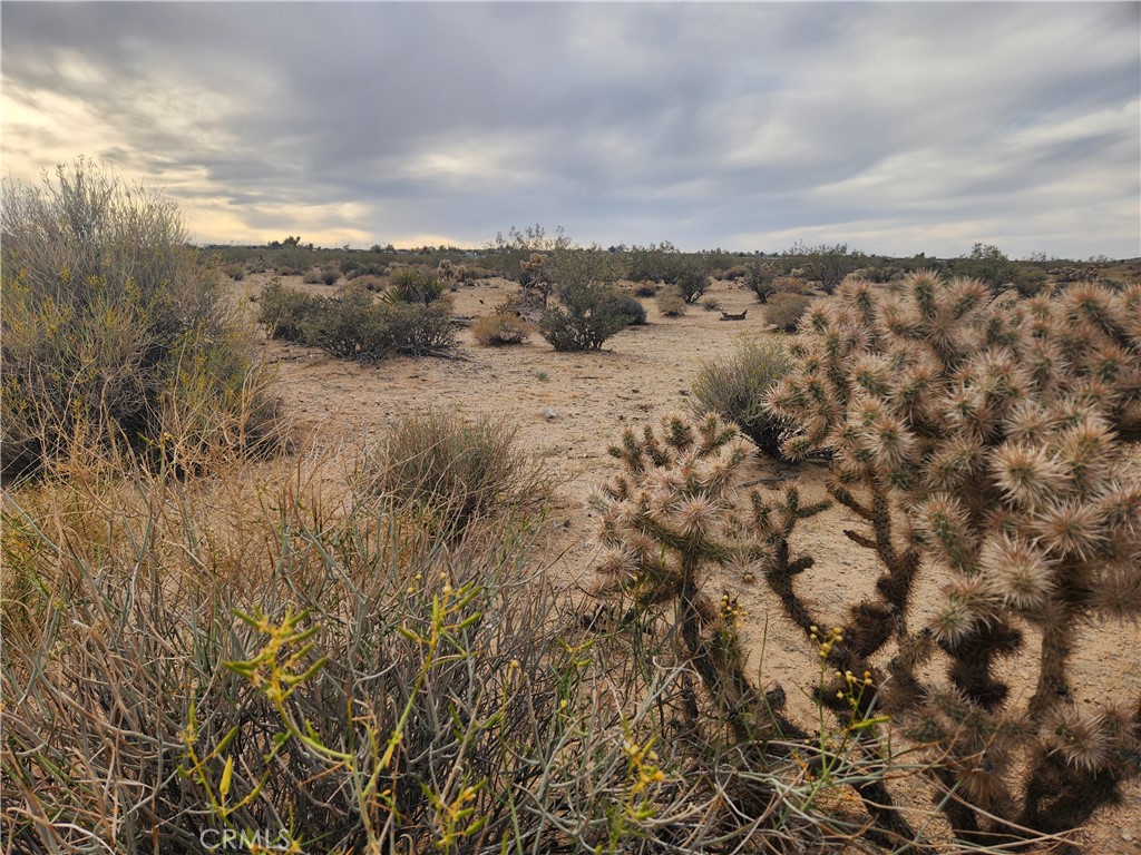 MLS #HD25102116 image #13