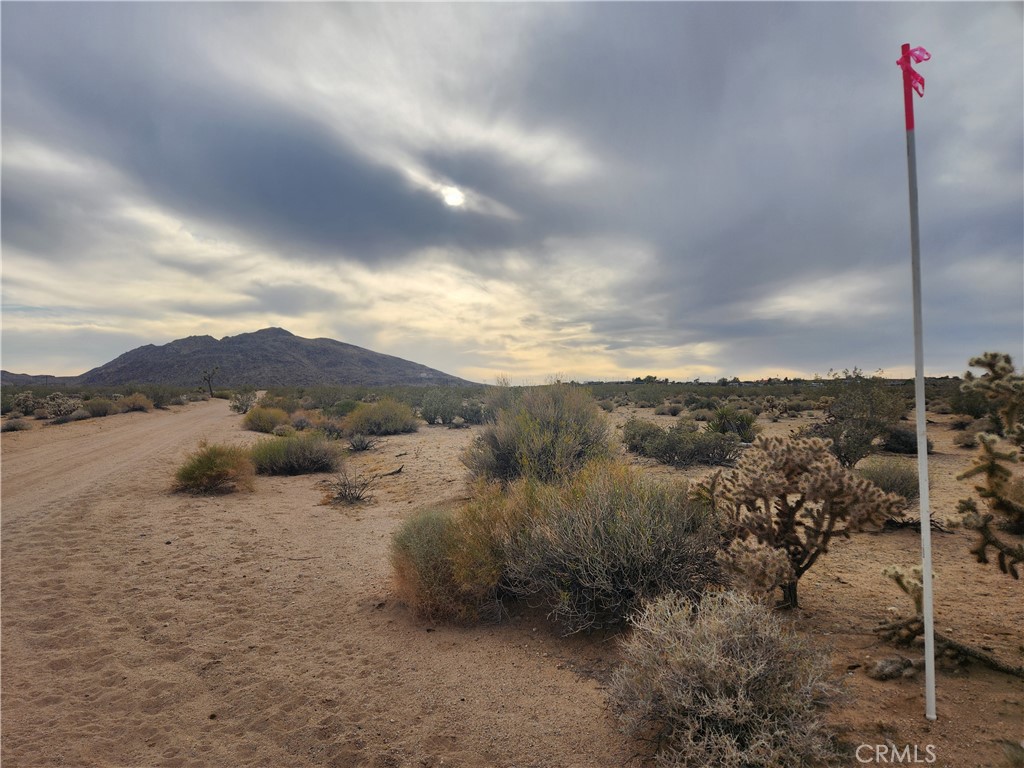 MLS #HD25102116 image #14