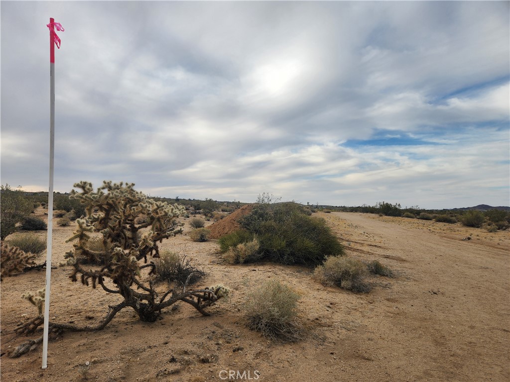 MLS #HD25102116 image #15