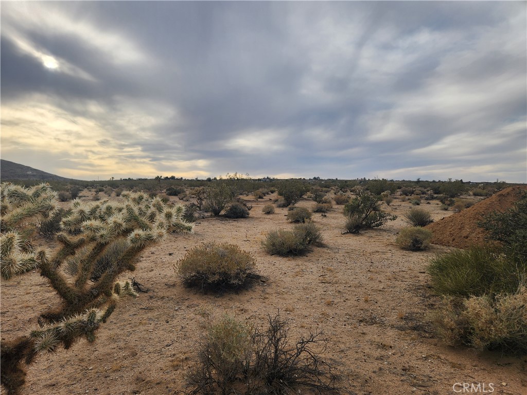 MLS #HD25102116 image #16