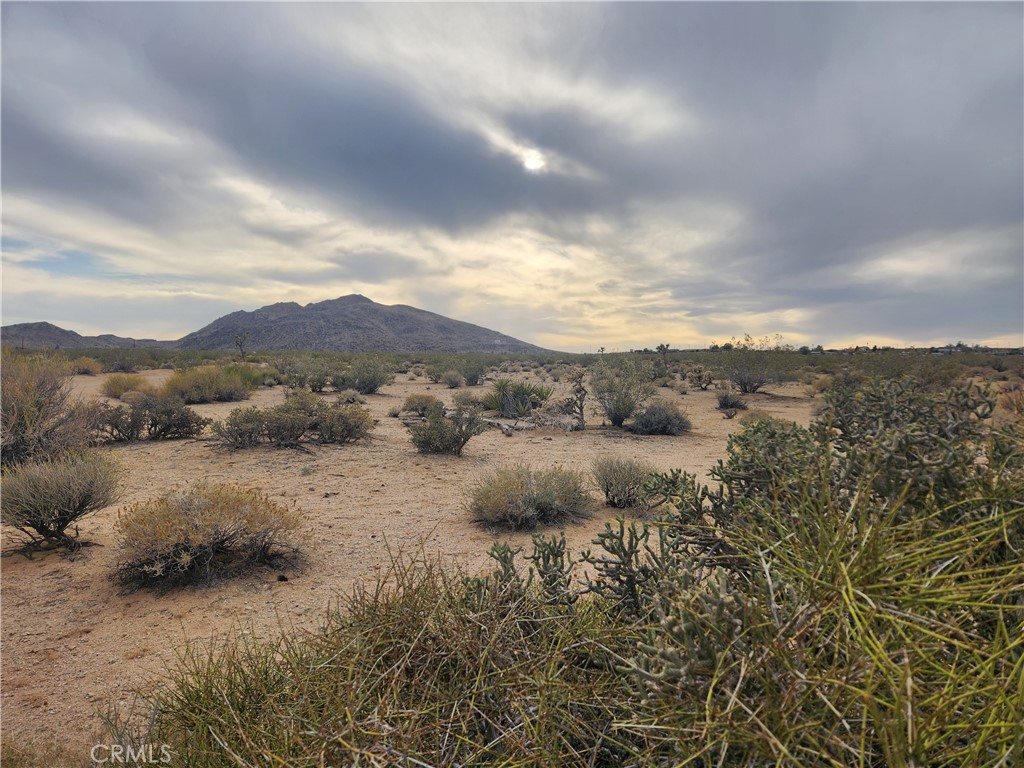 MLS #HD25102116 image #17