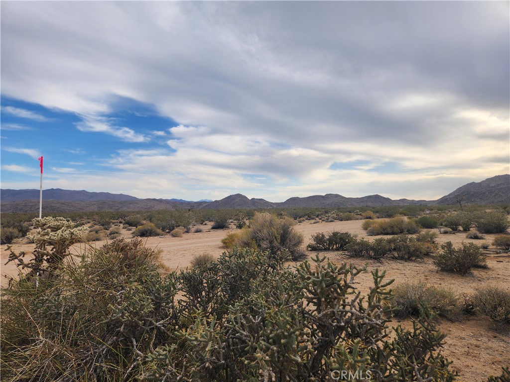 MLS #HD25102116 image #18