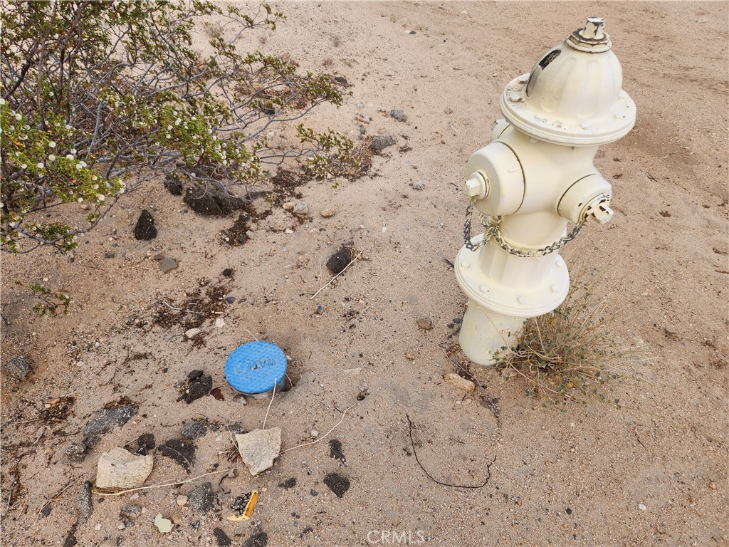 MLS #HD25102116 image #7