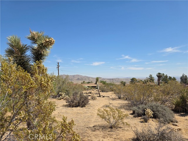 MLS #HD25137301 image #2