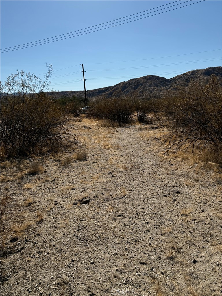 MLS #HD25168733 image #5