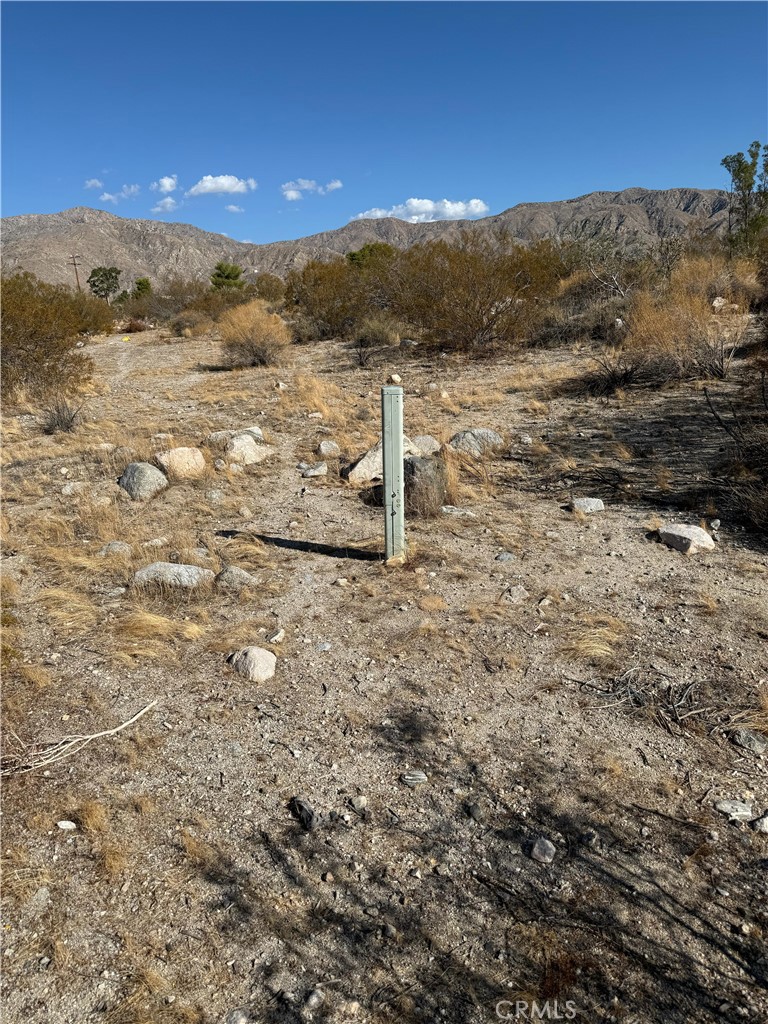 MLS #HD25168733 image #7