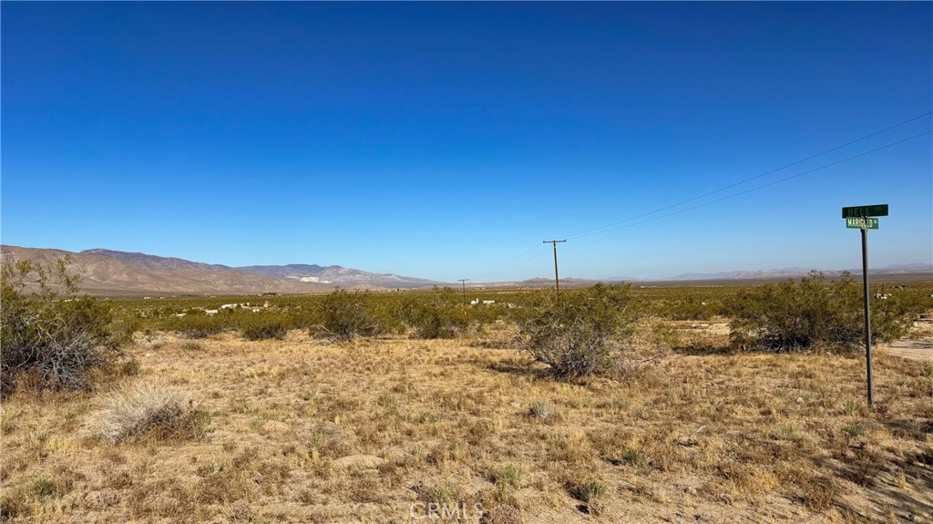 MLS #HD25173794 image #5