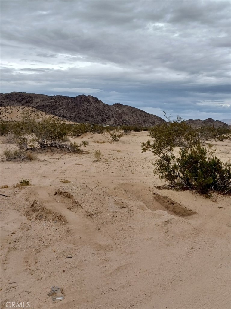 MLS #HD25184623 image #4