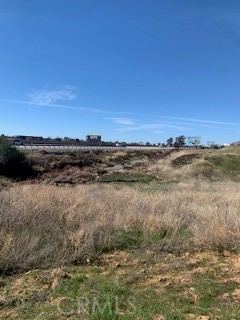 MLS #IG25047339 image #5